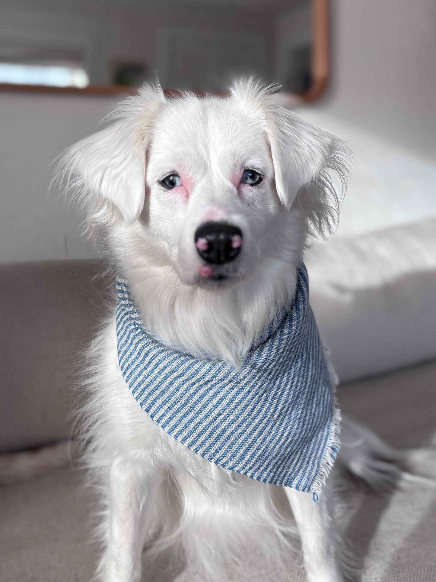 neighbor bandana / slate and blue